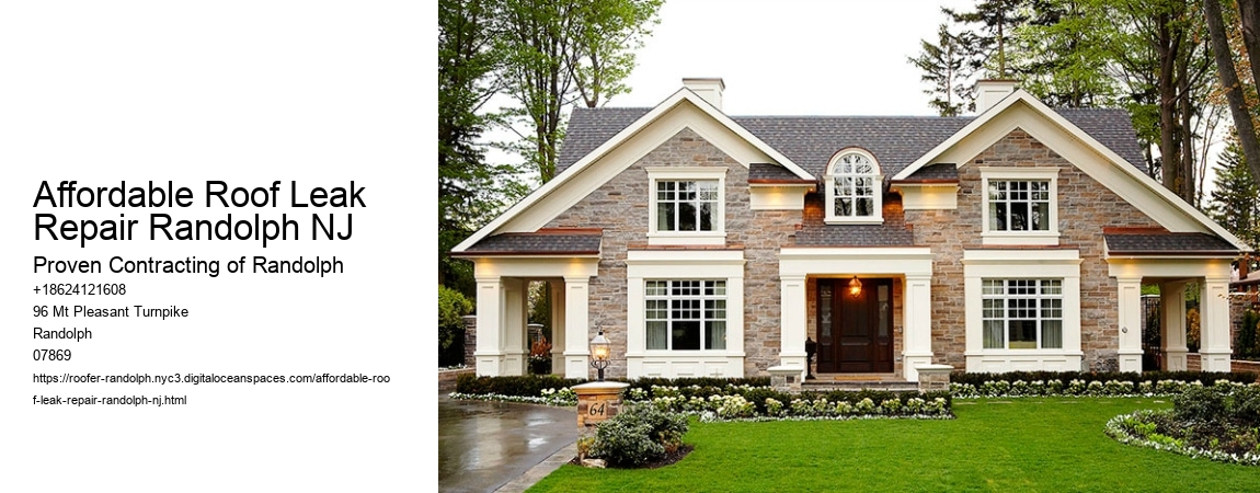 Affordable Roof Leak Repair Randolph NJ